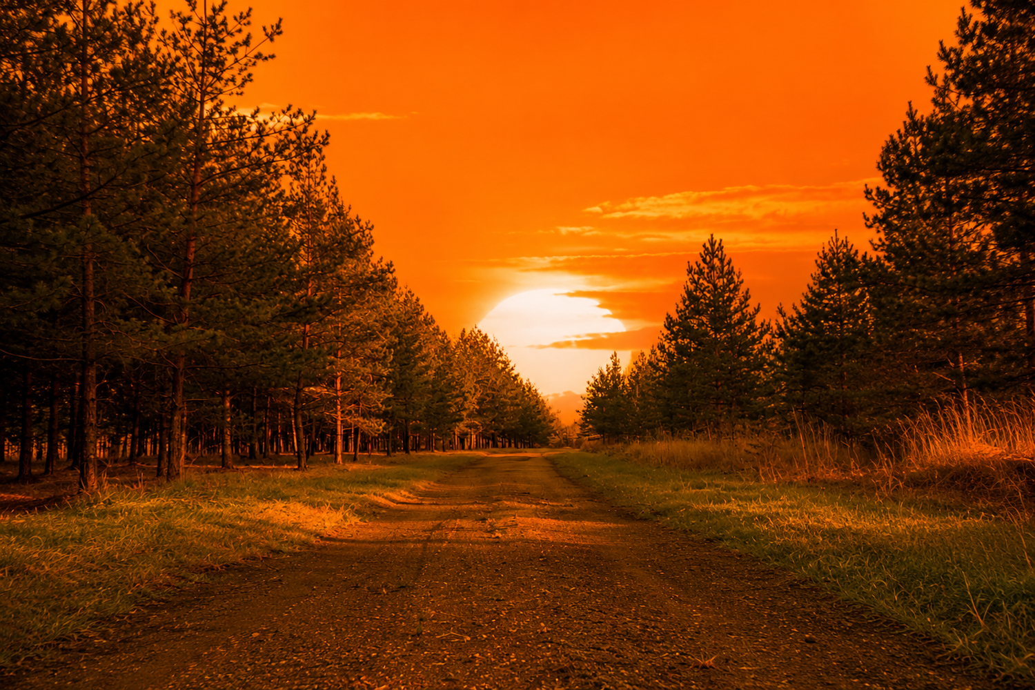 Waarom het pad kiezen? Rust, natuur en avontuur onderweg
