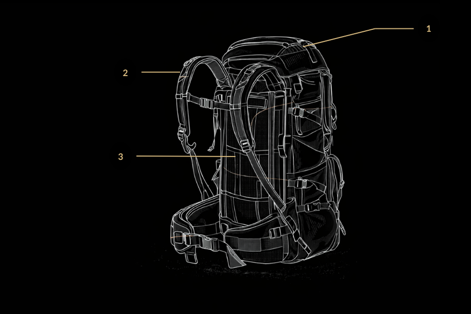 Image with text section