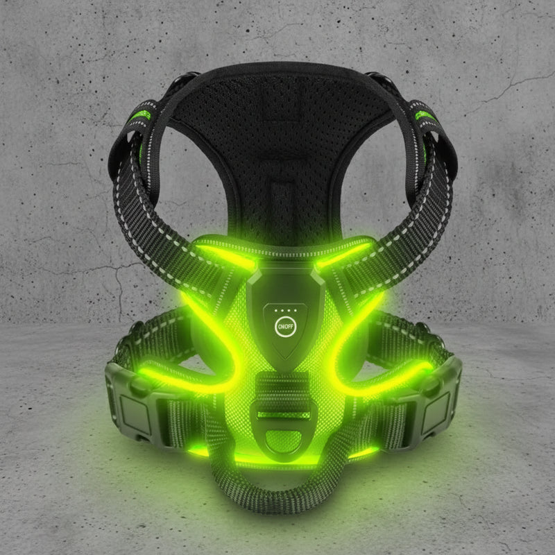 LED Veiligheids hondenharnas voor Zichtbaarheid in het Donker