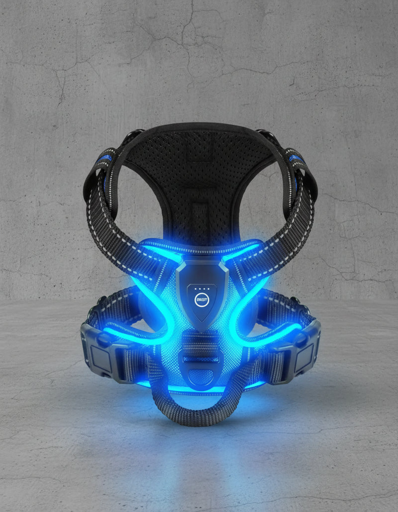 LED Veiligheids hondenharnas voor Zichtbaarheid in het Donker