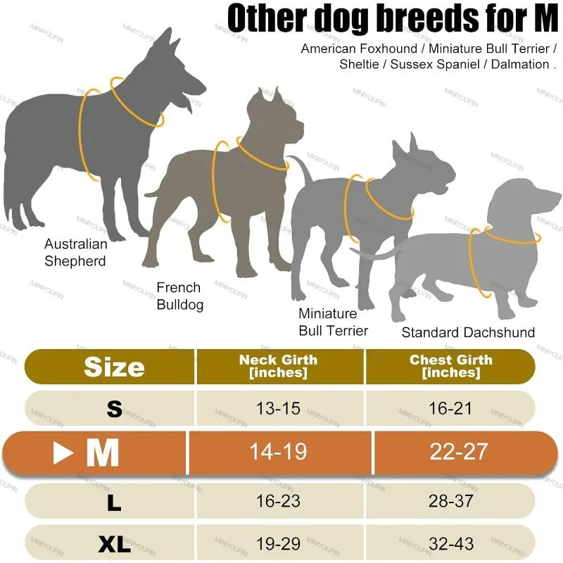 LED Veiligheids hondenharnas voor Zichtbaarheid in het Donker