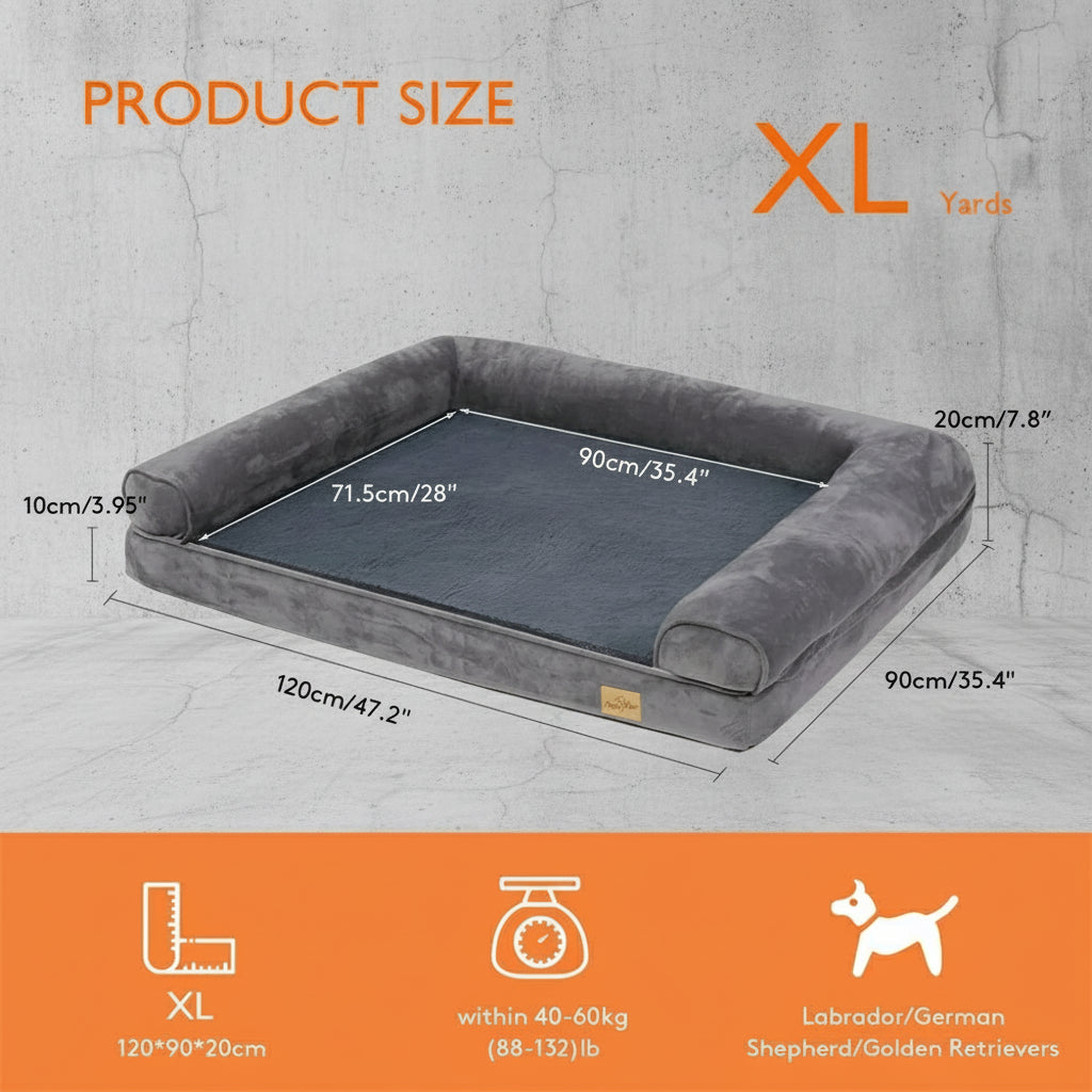 Image with text section